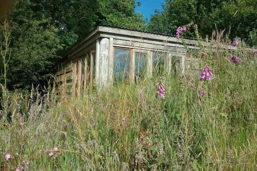 Wrangaton Casa | FoxesDen, Unique Eco Cabin, Dartmoor views