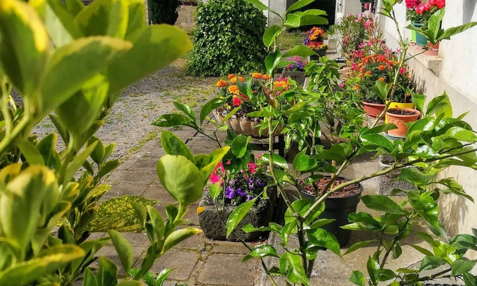 Saint-Georges-de-Mons Casa | La Maison D'odette 2-star Furnished Accommodation Auvergne /Puy de Dôme.