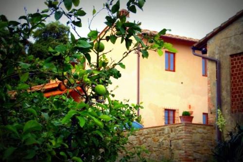 Capraia e Limite Apartamento | Francesca Apartment
