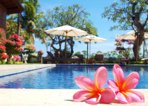 Lovina Casa | Frangipani Beach Hotel