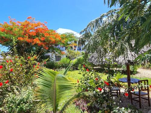 Nungwi Casa | Frangipani House Nungwi Zanzibar