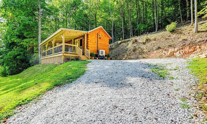 Franklin Cabina | Franklin Cabin w/ Creek Access: Hike & Fish!