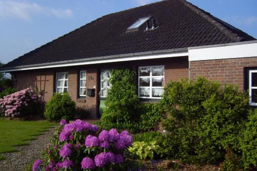 Koldenbuttel Apartamento | Freesenkoog