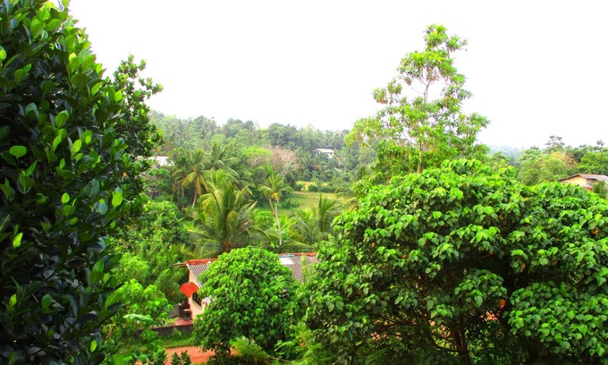 Kalutara Casa | Fresh Air Villa Guest House