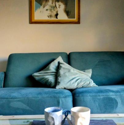 Krowodrza Apartamento | Friedleina 7 Kamienica Prezydencka