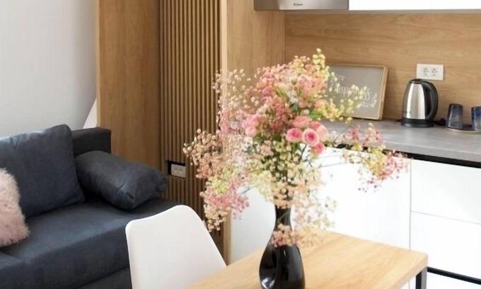 Timisoara Apartamento | FRIENDS RESIDENCE
