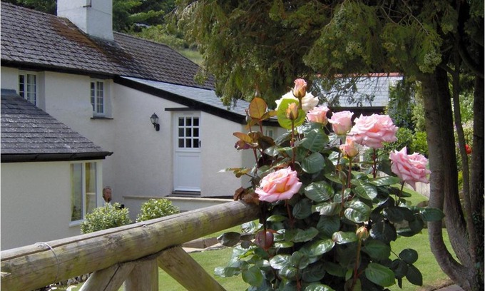 Strete Apartamento | Frogwell