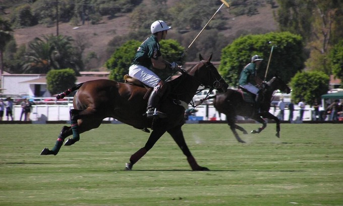 Toro Canyon Condominio | Asiento de primera fila en un campo de Clase Mundial de Polo!