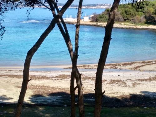 Rivabella Apartamento | Frontemare Davide