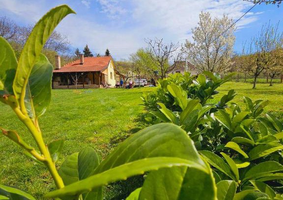 Petrovaradin Casa | Fruška house