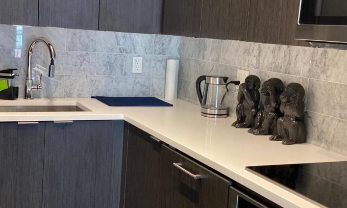 Fort York Condominio | Fully Furnished spacious condo unit