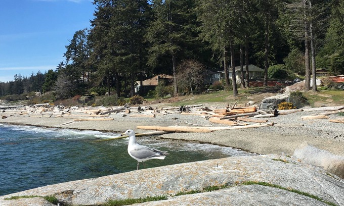 Sechelt Casa | Fun Suite entre dos aguas