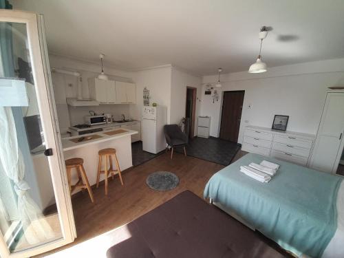 Sector 2 Apartamento | Fundeni - Garsoniere - langa spital