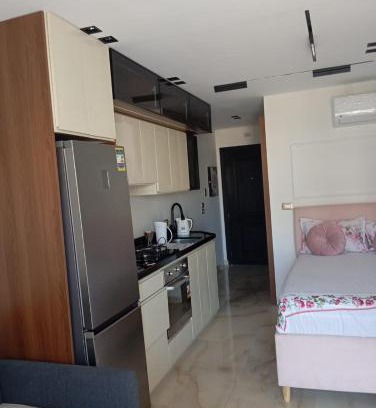 Al-Manasrah Apartamento | furnished vip studio porto said