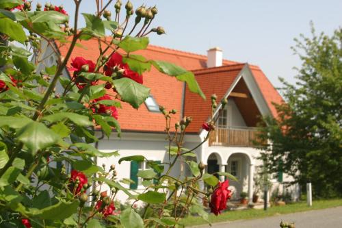 Kitzeck im Sausal Cama Y Desayuno | Gäste- und Vitalhaus Sauer