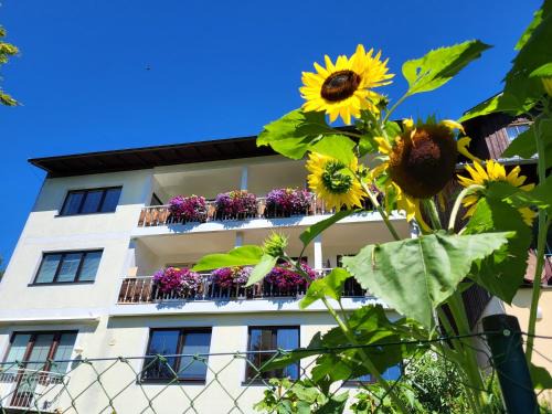 Ramsau am Dachstein Apartamento | Gästehaus Herma