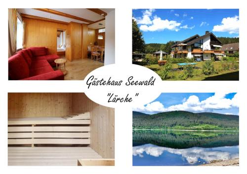 Blasiwald Apartamento | Gästehaus Seewald- Ferienwohnung 4 "Lärche", Schluchsee, Blasiwald
