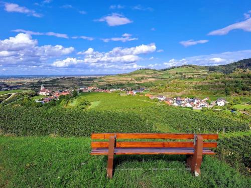 Kiechlinsbergen Casa | Gästehaus Weingut Mangel