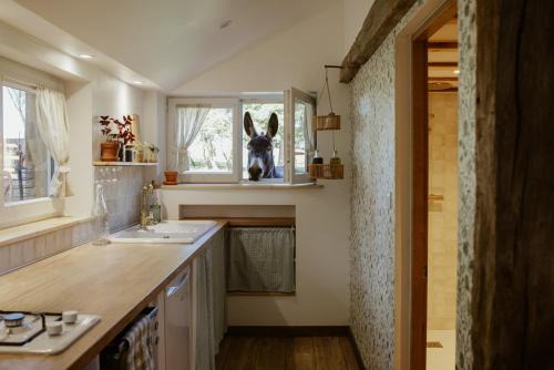 Les Hays Apartamento | Gîte à la ferme - Animaux et séjour ressourçant