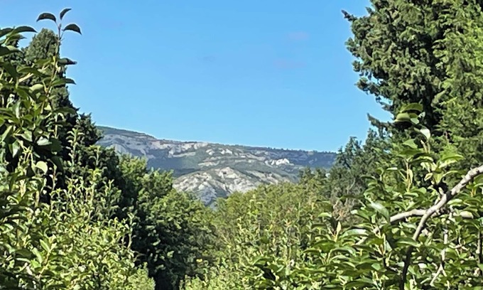 Senas Casa | Gîte 1&2 adjoining Mas Simone & Dédé between Alpilles and Lubéron