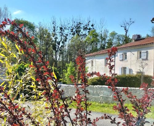 Courcoury Apartamento | Gîte 2 personnes
