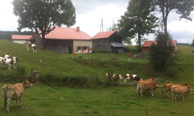 Bellecombe Casa | Gîte 3 ch. 10 Pers. Sans Voisin sur 30 Hectares