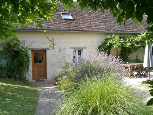 Brizay Casa | Gîte calme au cœur de vignoble bio avec piscine, proche Azay-le-Rideau - FR-1-381-238