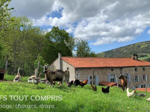 Sauvain Casa | Gîte chaleureux avec cheminée, espace jeux et animaux, proche nature et activités familiales - FR-1-496-315