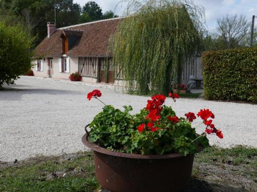 Cour-Cheverny Casa | Gîte chaleureux près des Châteaux de la Loire, avec terrasse, équipements de loisirs et pêche - FR-1-491-357