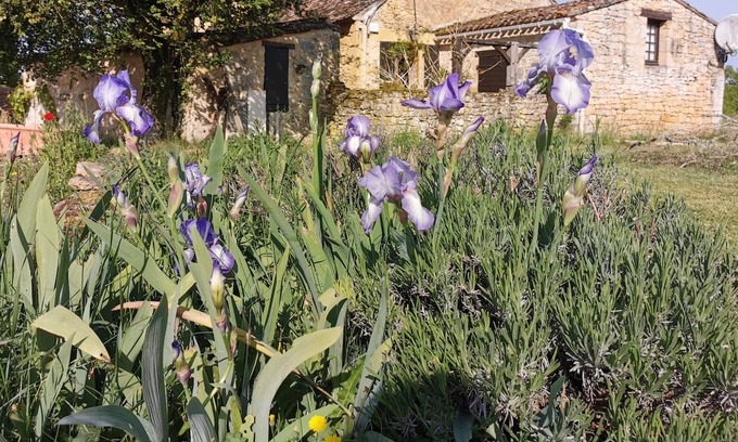Saint-Avit-Senieur Casa | Gîte Champêtre Le Cantou