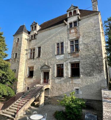 Chatillon-sur-Seine Casa | Gîte de l'Auditoire Royal