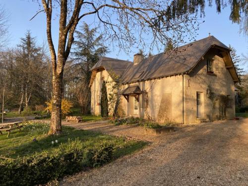Souvigny-de-Touraine Casa | Gîte douillet en forêt d'Amboise, parc boisé 2.5 ha, cheminée, vélos, WiFi, jardin privé, animaux acceptés - FR-1-381-457