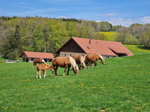 Arcon Casa | Gîte du cheval blanc