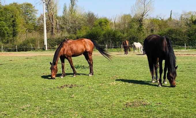Cissac-Medoc Casa | Gîte du Haras de Lolivier