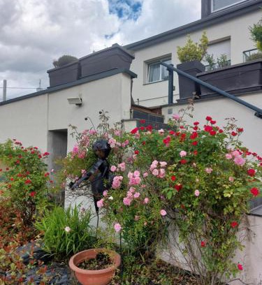 Guebwiller Apartamento | Gîte EMOZIONE