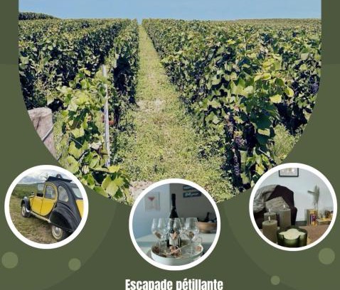 Venteuil Casa | Gîte familial dans le vignoble champenois