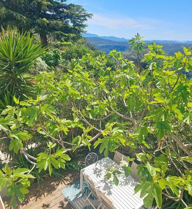 Saint-Cezaire-sur-Siagne Apartamento | Gîte Le Figuier de Saint Ce Jardinet Terrasse Vue