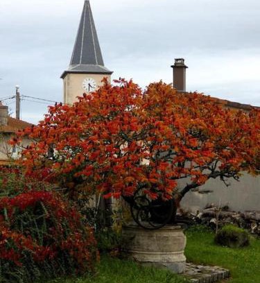 Burthecourt-aux-Chenes Casa | Gîte le Saloon du Vermois