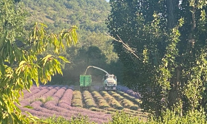 Reillanne Casa | Gîte Le Tramontane Meublé de tourisme 4 étoiles Le Moulin de Prédelles