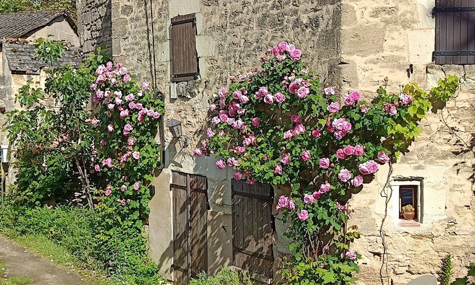 Doue-la-Fontaine Casa | Gîte les Trois Grandes Portes