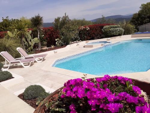 Flayosc Casa | Gîte provençal indépendant avec piscine chauffée : LE SUY BIEN
