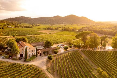 Les Arcs-sur-Argens Apartamento | Gîte Vert d'olive au milieu des vignes - Château Les Apiès
