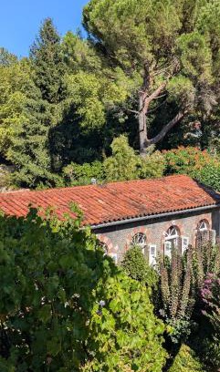 Mazamet Casa | Gîte Wistéria