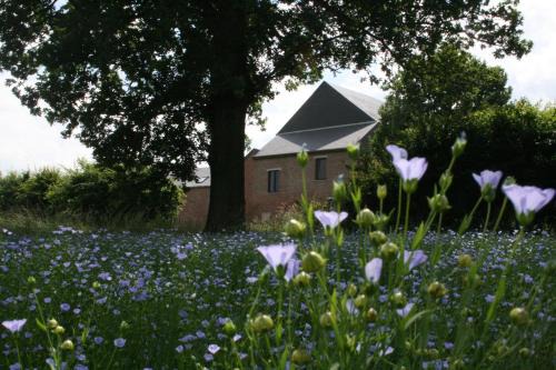 Maubeuge Casa | Gîtes du Grand Bois