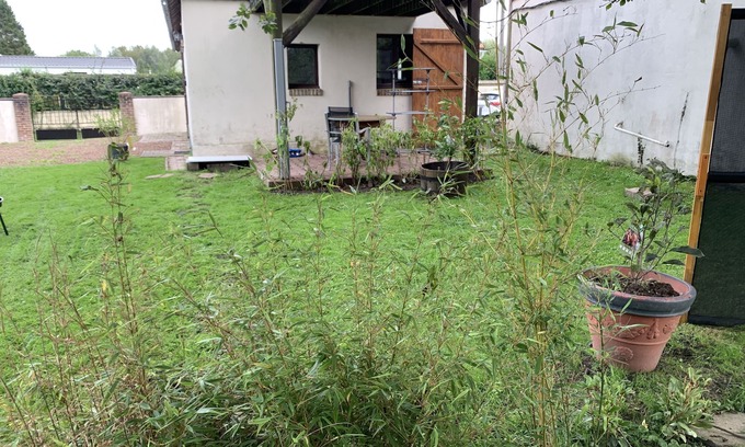 Dompierre-sur-Authie Casa | Gîtes Levidence