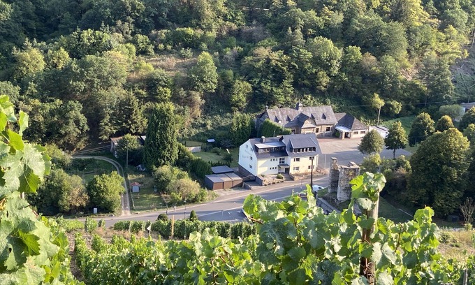 Mainz-Bingen Apartamento | (g) Roosike vacaciones en Bacharach-Steeg, moderno apartamento en el campo