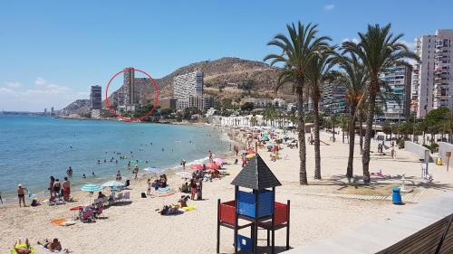L'Albufereta Apartamento | Gafner 8