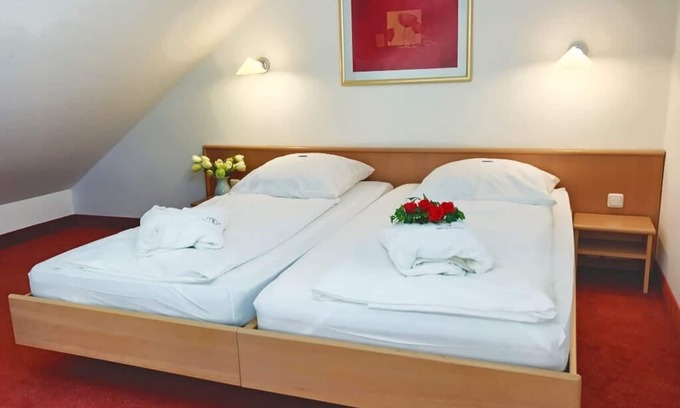 Neualbenreuth Apartamento | Gallery apartment with fully equipped kitchen