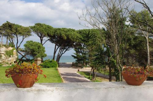 Sant Marti d'Empuries Casa | Galliner