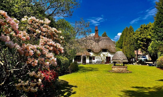 Ferndown Cabaña | Galtons Cottage Dorset Thatched Cottage